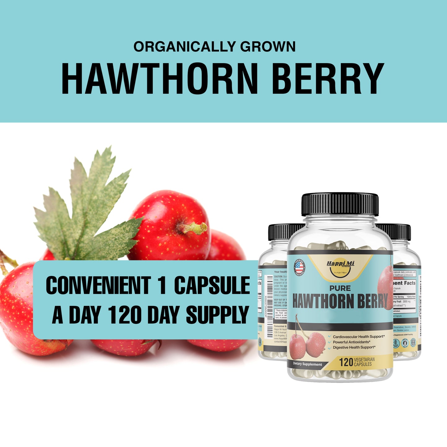 Hawthorn Berry